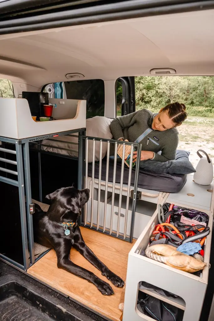 Camper Dog on Tour CUBE4LIFE 