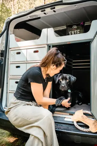 Camper Dog Lite